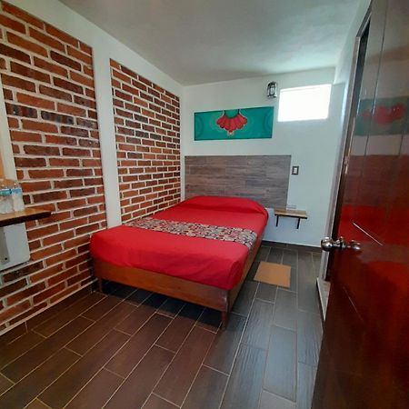 Hotel Tlatoani Чигнауапан Екстериор снимка